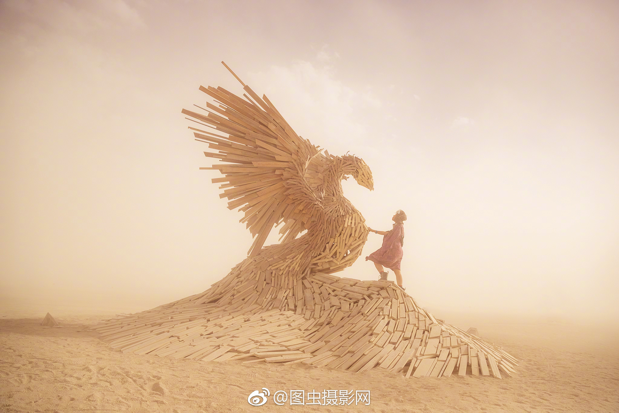 来图虫参加"伯奇杯", 用影像证明你的创意～参赛作品推荐: @勤奋的刘