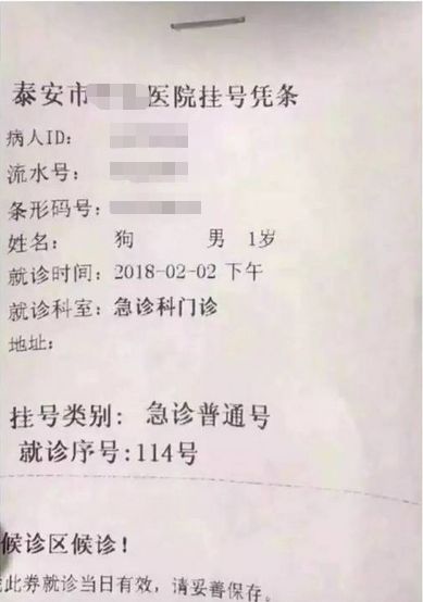南宁男子凌晨大闹医院急诊科,要求医生给狗看病!