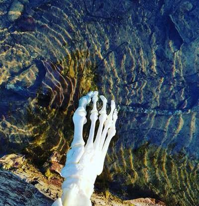 用"脚标本"去调戏小猫咪!将自己截掉的"脚标本"放在路上拍照!