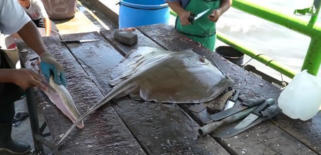 男子捉到条40斤重的"魔鬼鱼",4刀切出肥美鱼肉,太厉害了!