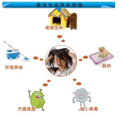 宠物异味无法解决纳米水离子空气净化器有妙招