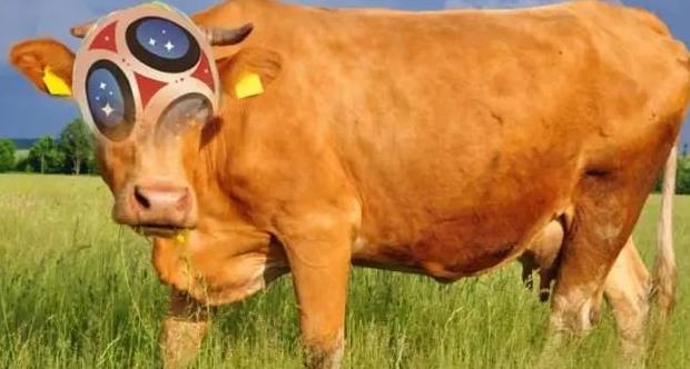 足球外围下盘是不是赚钱:网友真会玩儿系列代