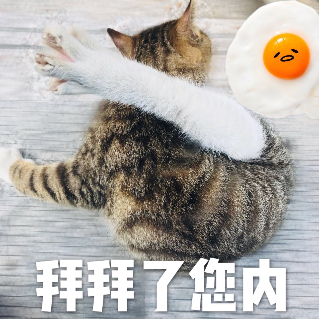 摸摸唱一晚上到底要花多少钱？