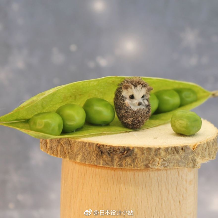 视觉艺术老师katiedoka按照112比例制作的微型动物