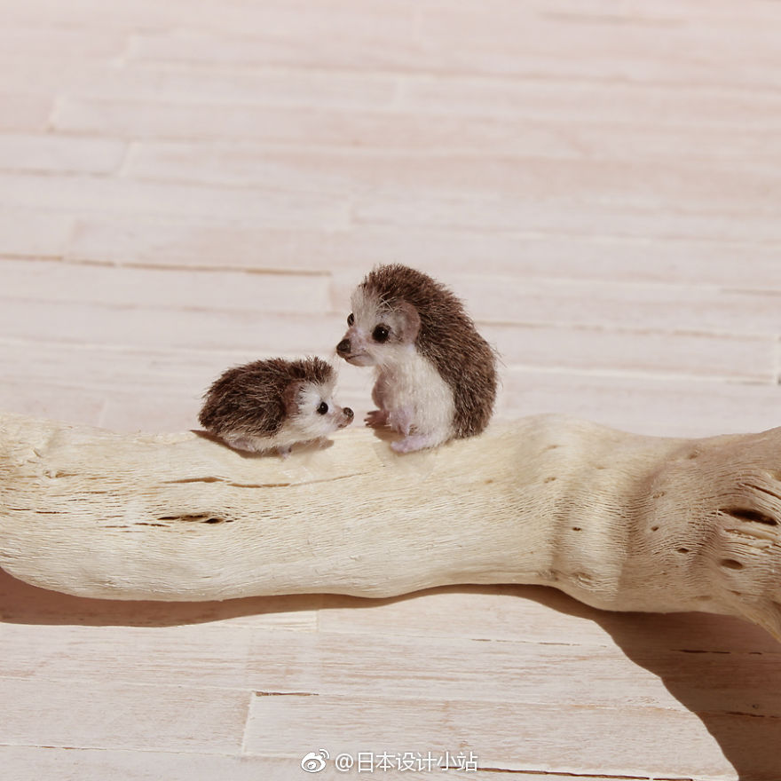 视觉艺术老师katiedoka按照112比例制作的微型动物