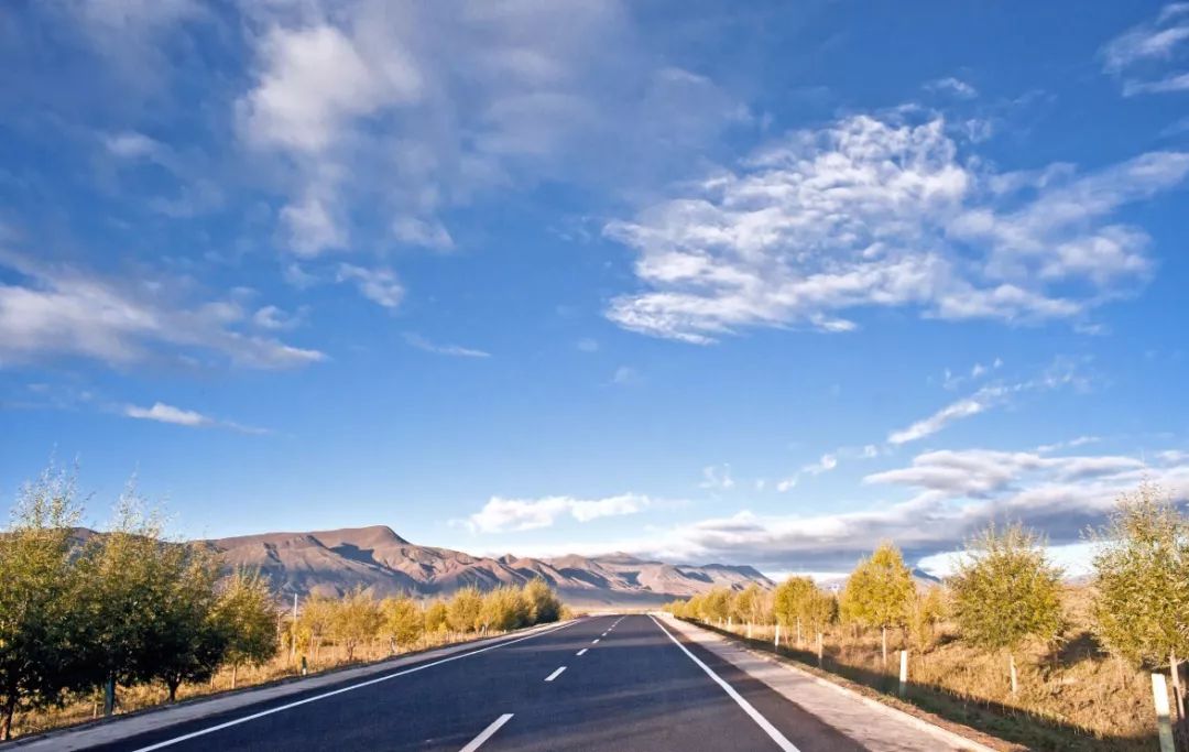 暑期准备自驾游?出发前先看看这个!