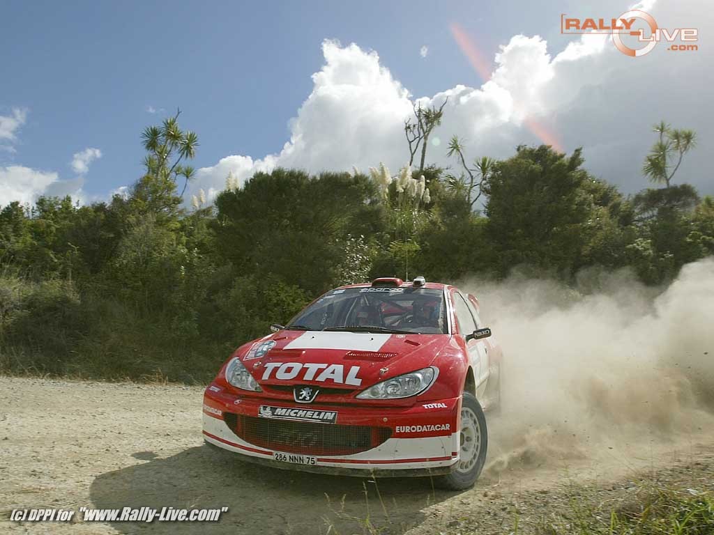 wrc世界拉力赛里面的经典赛车-标致206rc