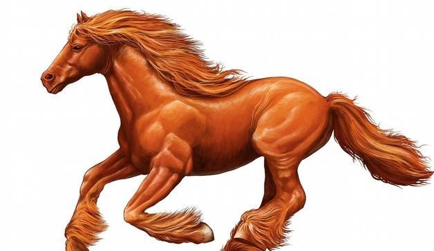 属马人与属羊恩婚配吉祥,忌讳属鼠人犯冲,属牛人犯害,属马人犯刑,组建