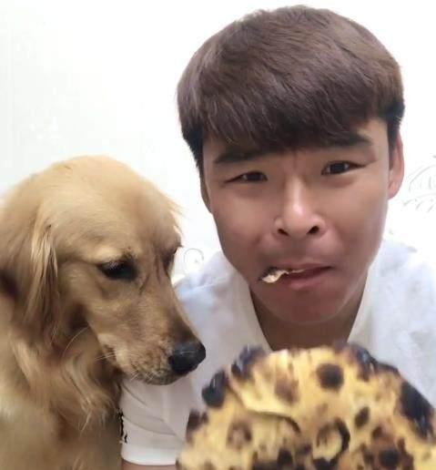 金毛挑食不肯吃饭,主人随便说它几句,结果金毛就龇牙凶人