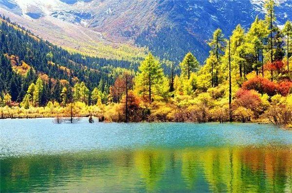 这里有亚洲最大的红叶区,到秋天便成了,中国最亮眼的风景线