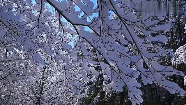 轻音乐欣赏:班得瑞《初雪》