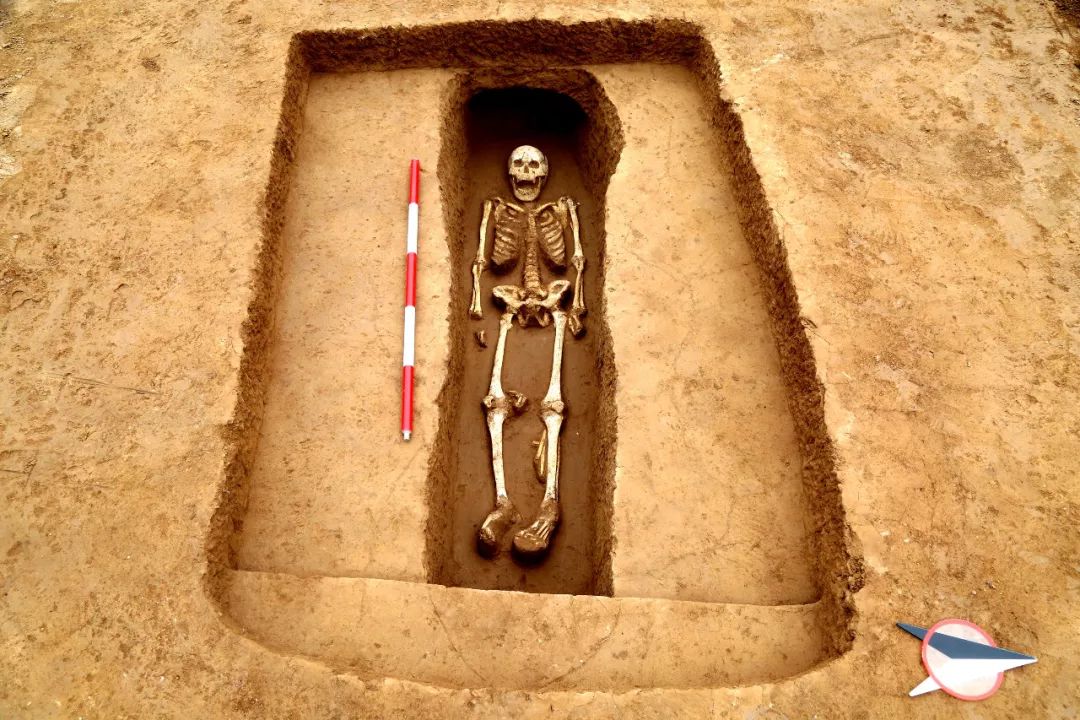 2017年度全国十大考古新发现揭晓啦!迅猛围观!