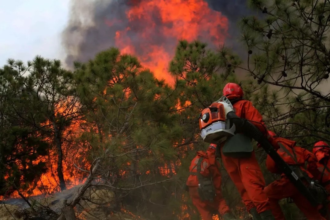 大凉山的应急先锋:大火的热浪侵蚀着每一个毛孔_新浪看点