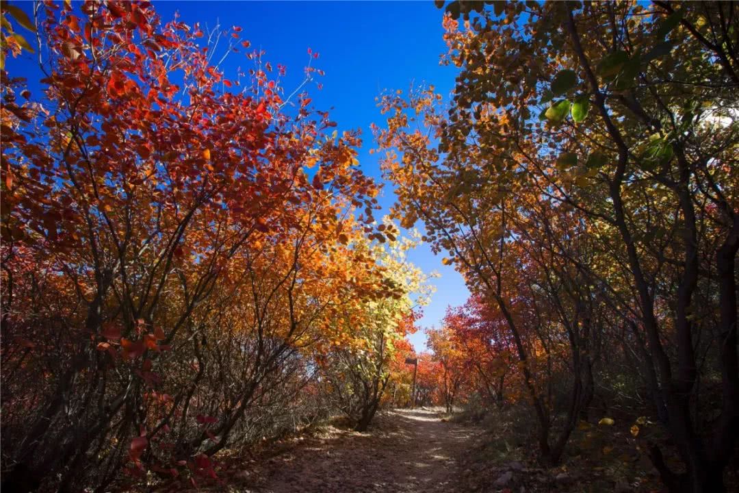 北京這條絕美登山步道太厲害,沿途全是美景!