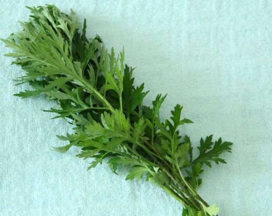 使用小火来回翻炒,等到艾叶稍微泛黄,之后加入白醋,再翻炒片刻,将混合