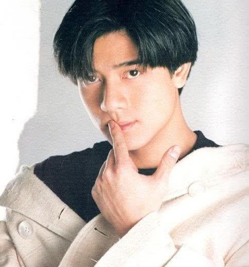 张卫健郭天王的颜值还是很尺度的,鼻子高挺,尺度的帅哥.郭富城