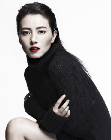 亚洲第一美人居然是她,章子怡都要靠边站:高圆圆  标准的东方面孔