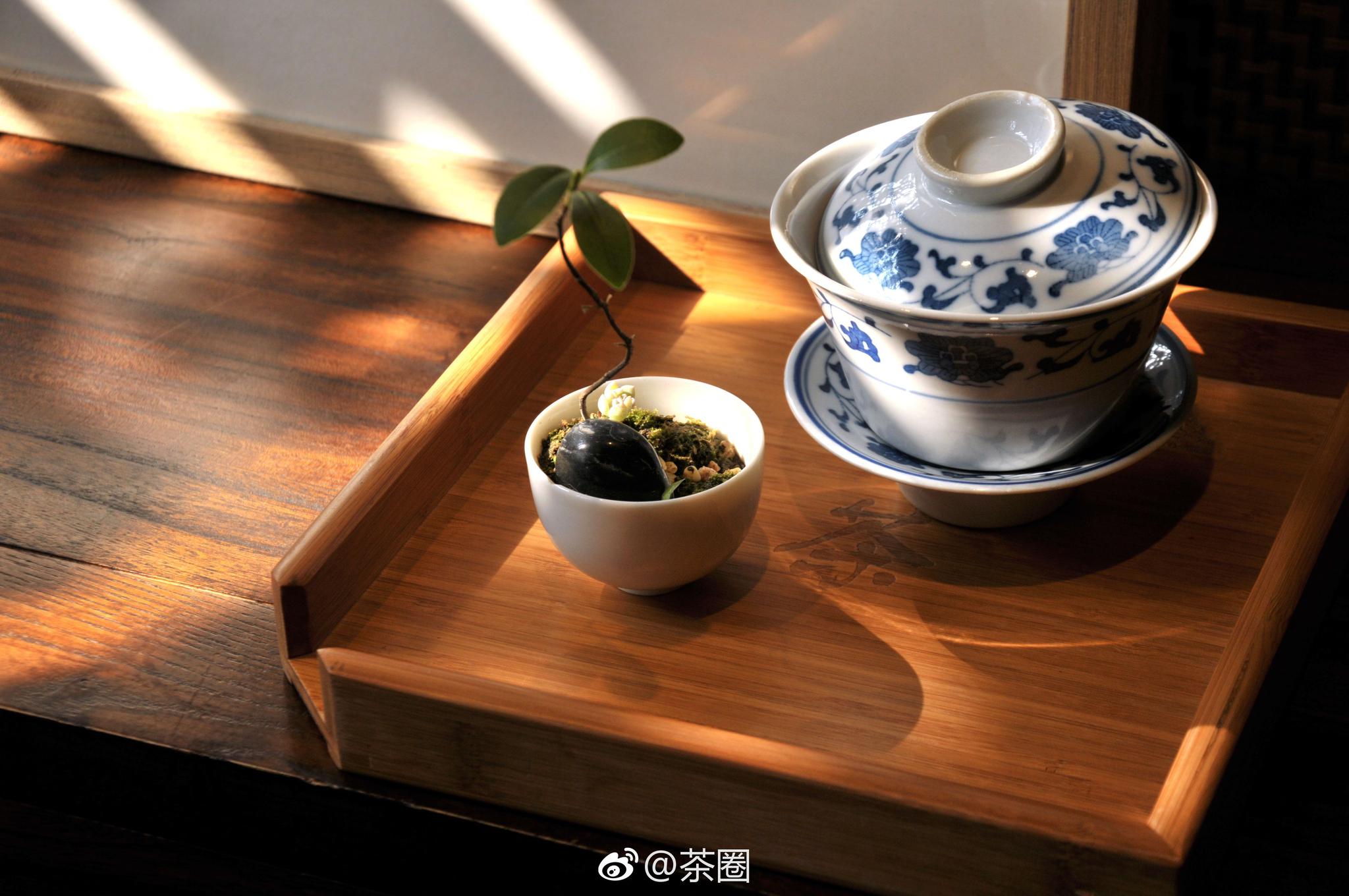 生活就是我与茶杯的距离,闲暇之余,体会到一杯清茶的心意.