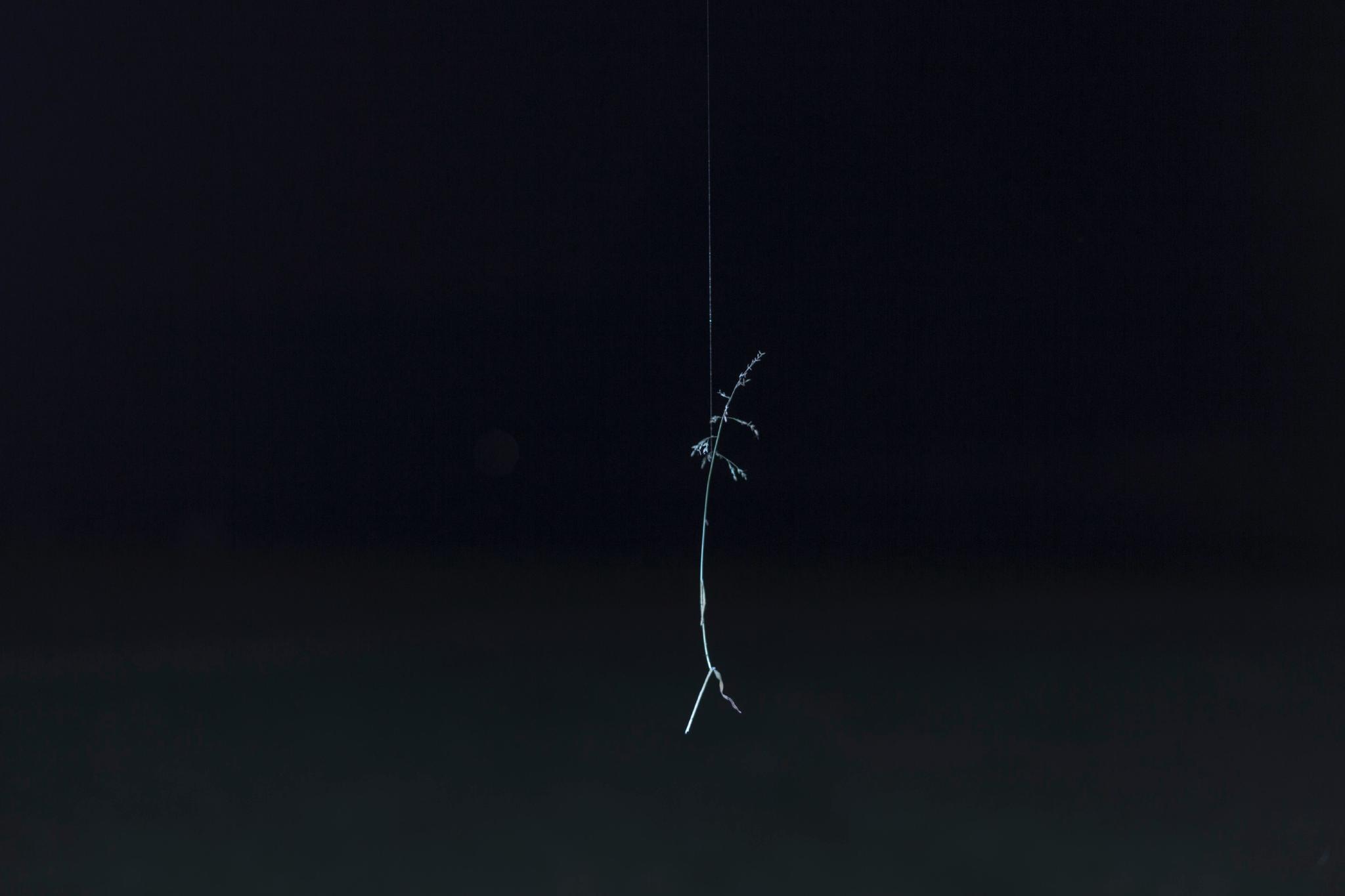 孤独的定义是被孤独的意识所压抑不被察觉的是真实的人