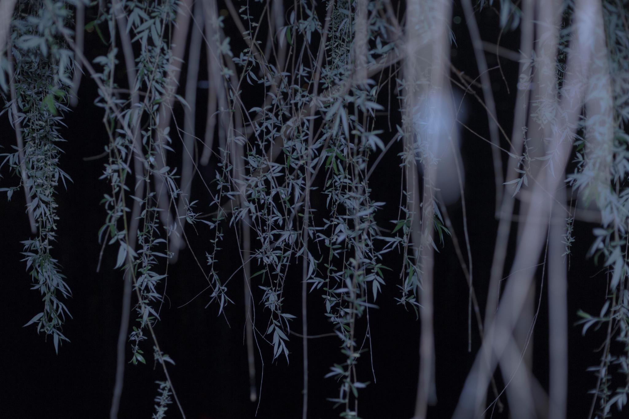 孤独的定义是被孤独的意识所压抑不被察觉的是真实的人