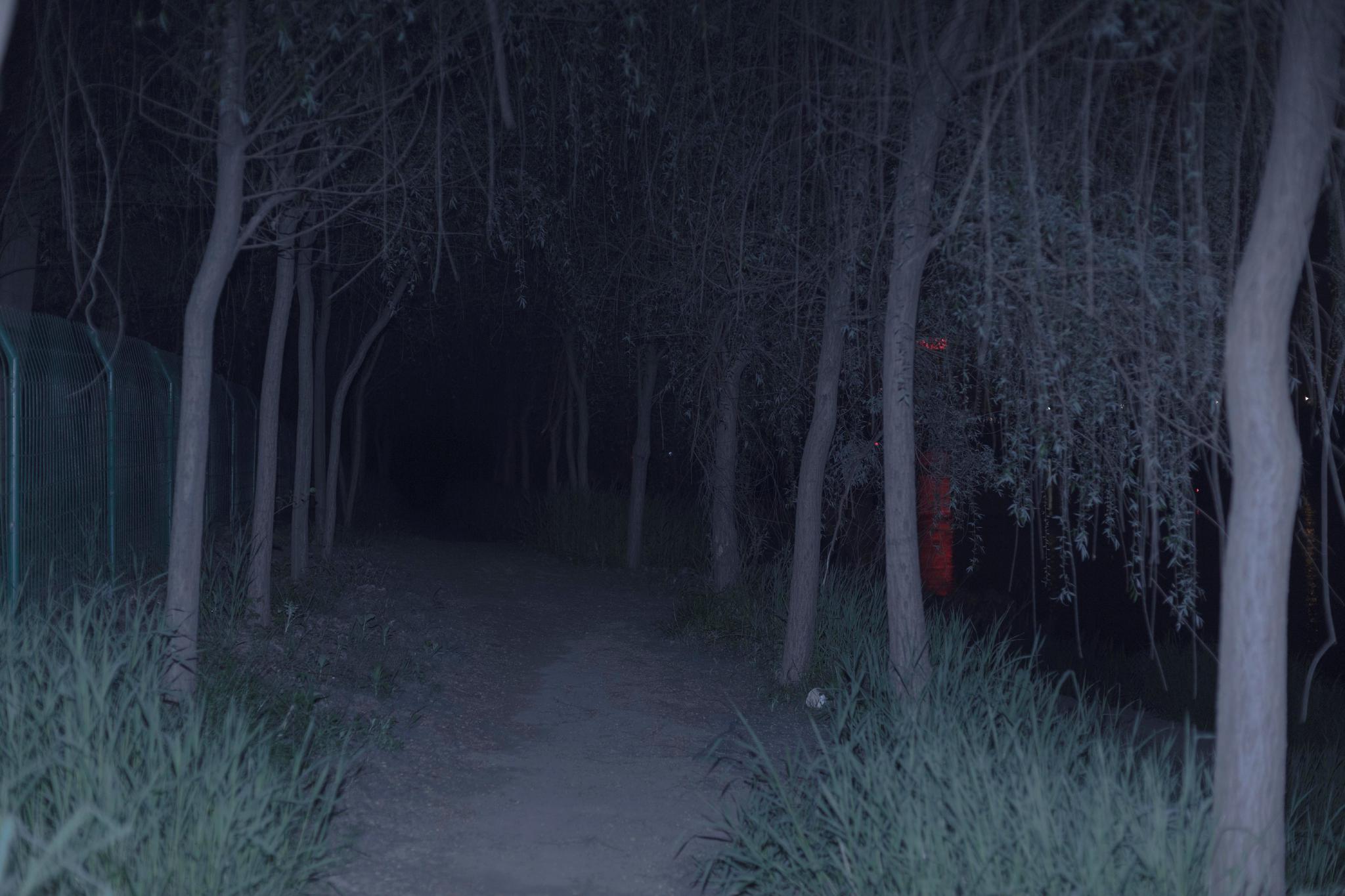 孤独的定义是被孤独的意识所压抑不被察觉的是真实的人