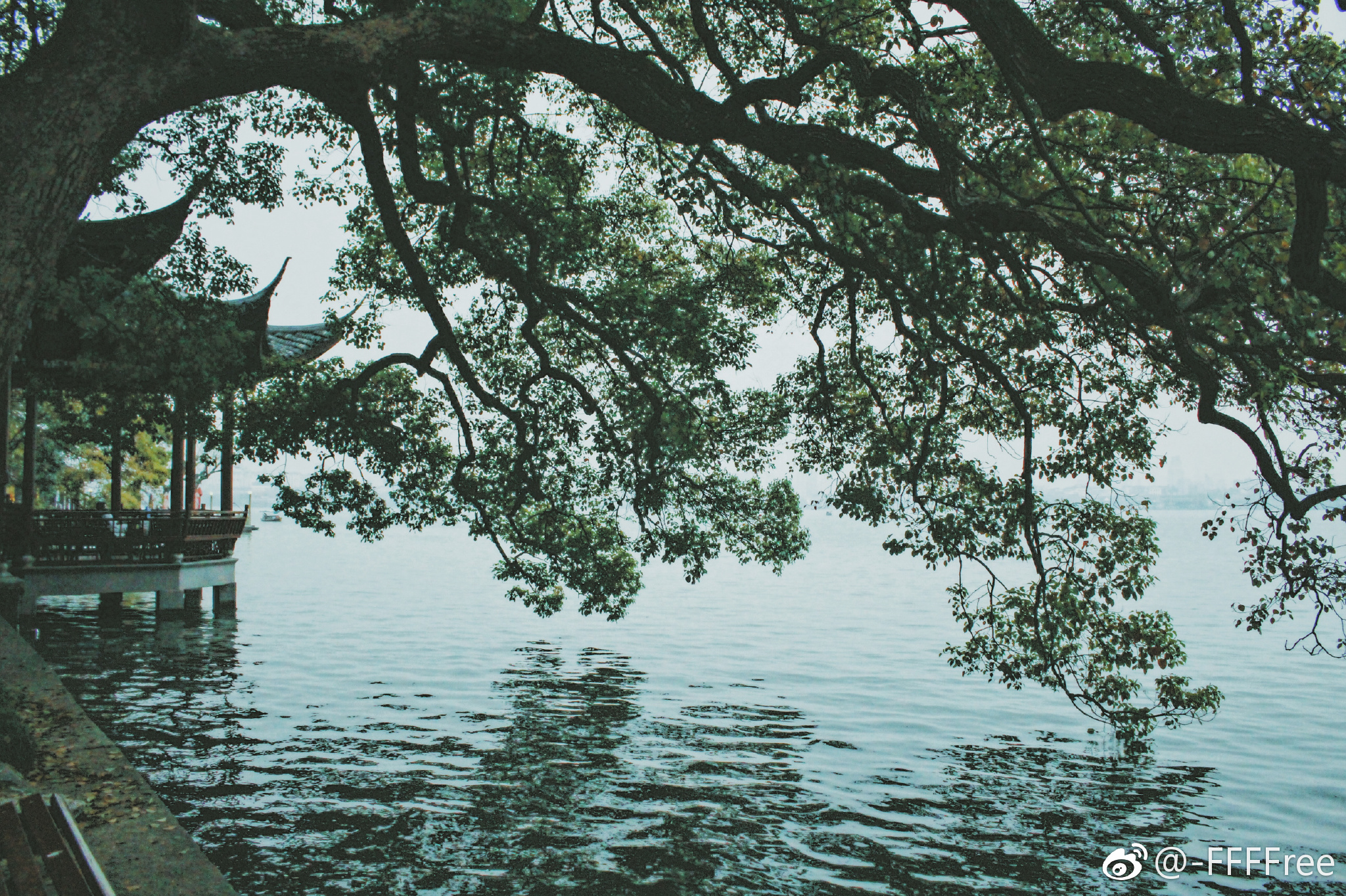 桃花 楼塔 屋檐 古风 建筑 高清可私戳 or ffffree公