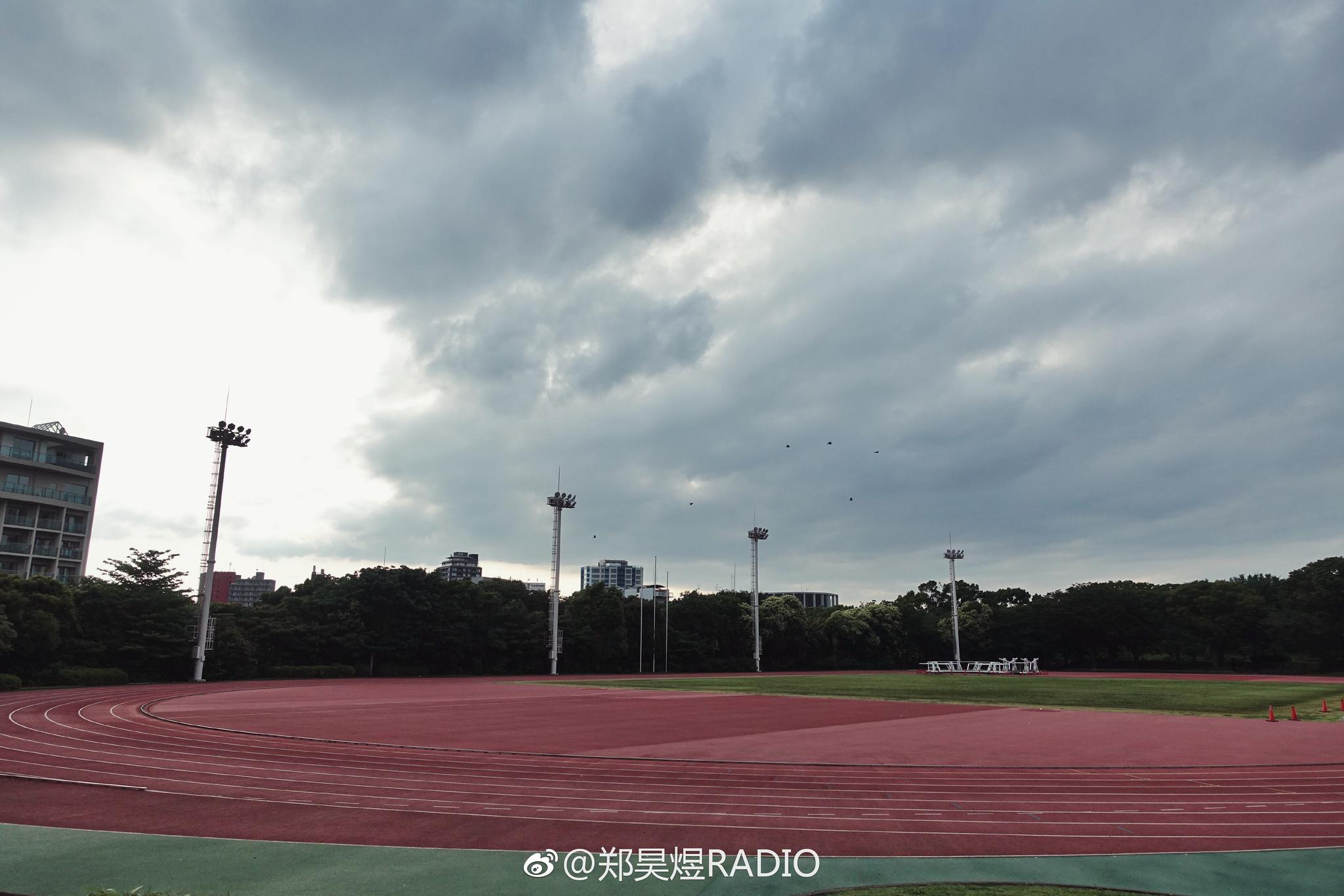 通过上次上海和这次代代木公园篮球场的盯防得出结论