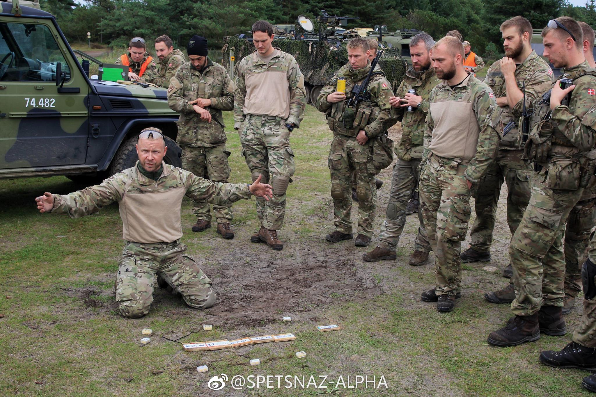 2017年9月,丹麦皇家陆军第1旅正在举行战术演习