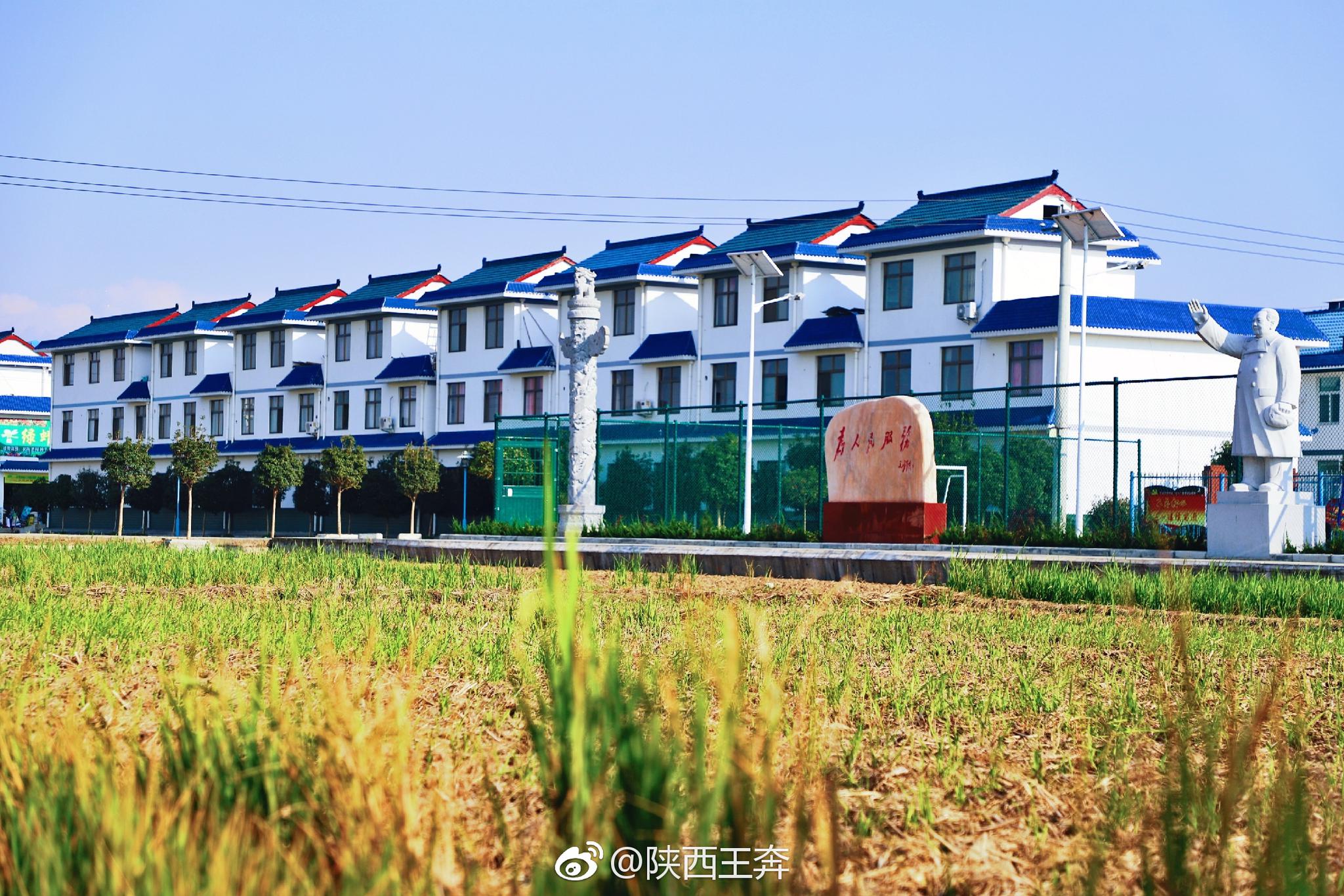 农村小伙自学跑酷