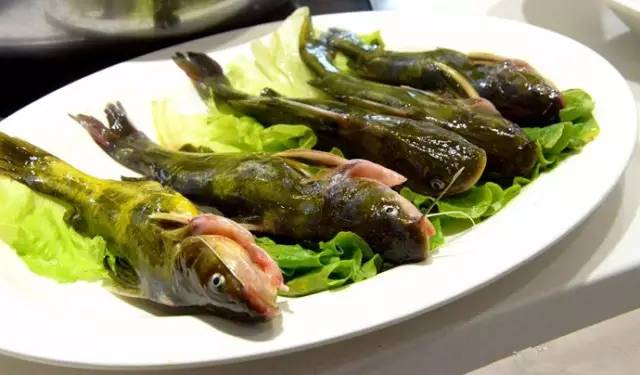 黄骨鱼又名黄刺公,黄腊丁,嘎牙子,昂刺鱼,黄鳍鱼,黄刺骨,黄嘎牙等,学