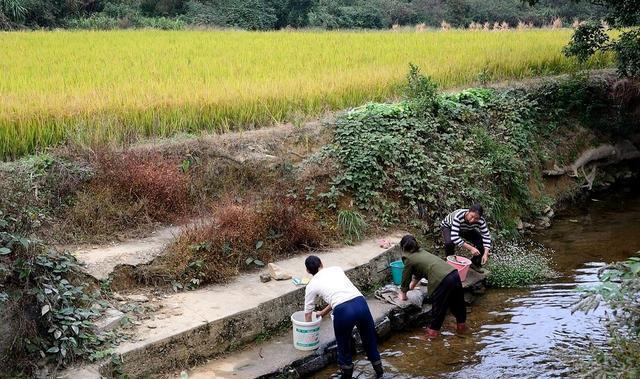 海南农村生活是这个样子的11张怀旧照片满满的爱