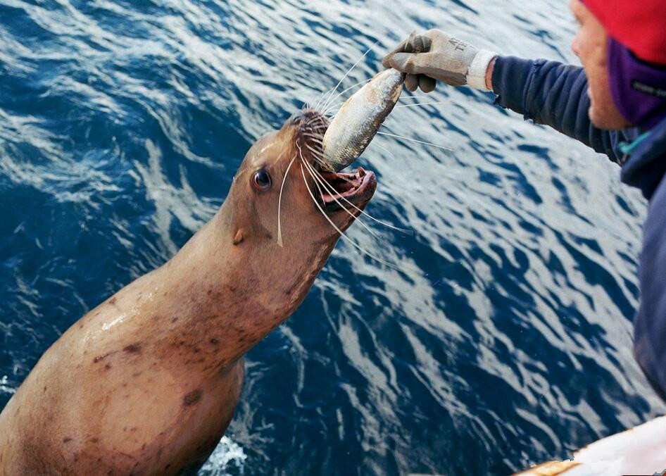 一群海上捕鱼人的罕见照,张张都很震撼