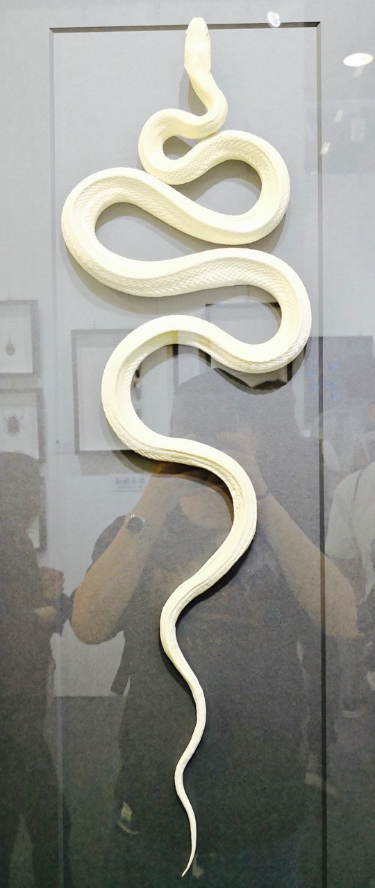 蛇标本放里屋2018艺术北京博览会标本艺术装饰