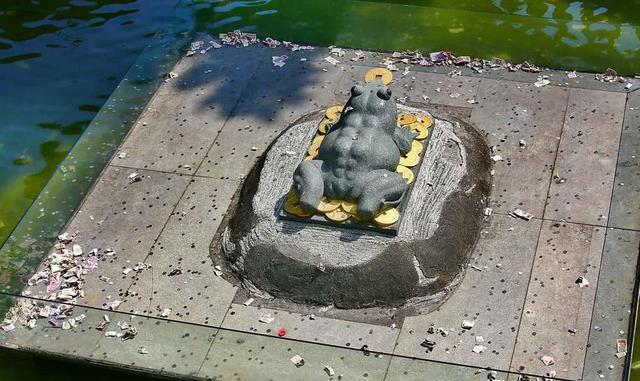 游客扔进许愿池的钱那么多,难道是扔掉处理?都被这2种人拿走了