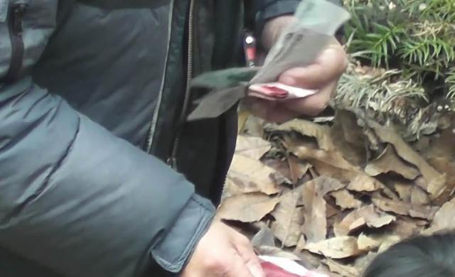 儿子发现爹常去树林,跟去后看到的场景让他悲愤交加|大妈|老人|大爷