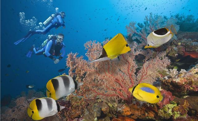 地球日渐衰老了,请珍惜|大堡礁|死海|雨林_新浪新闻