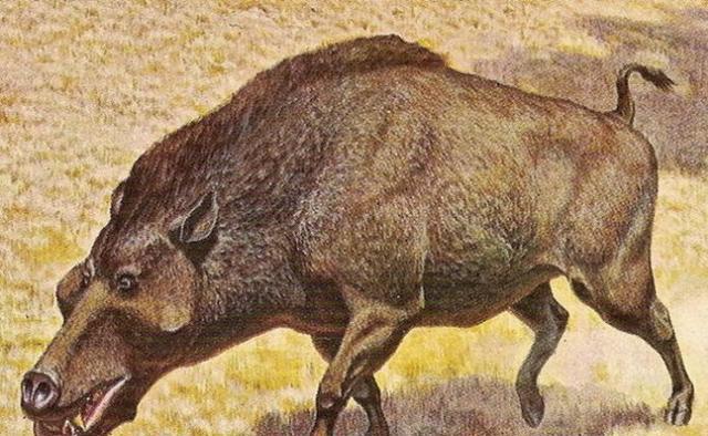 地球上10大远古的动物祖先, 现在都已经灭绝了