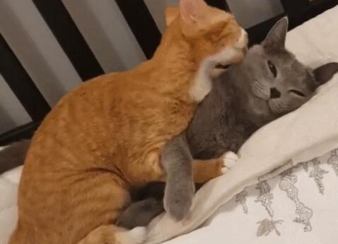 女主出差回来听到男友在房间里大喊宝贝踹开门后一脸尴尬