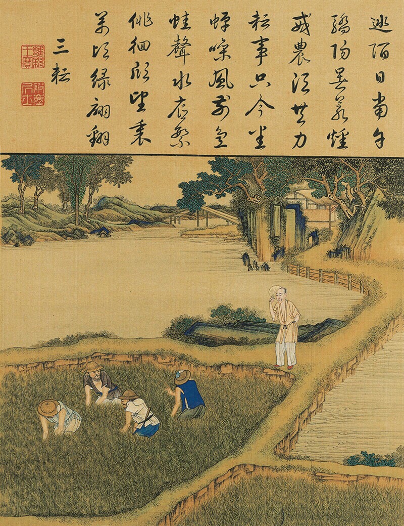 国宝《雍正耕织图册》欣赏|雍正耕织图册|美伦|图册_新浪新闻