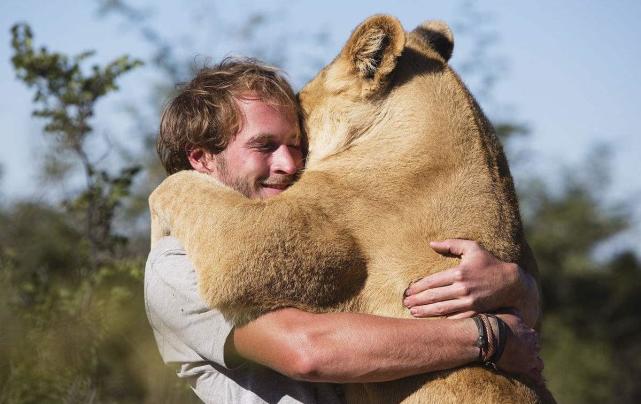 外国小哥哥现在已经开始抱狮子了