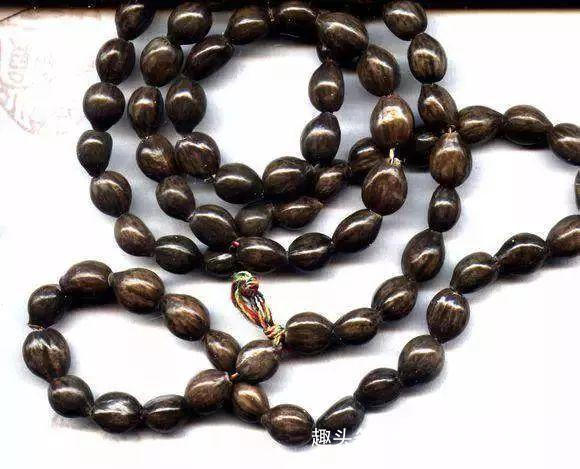 在路边遇见这种草珠子,一定要捡回家,现在知道还不晚