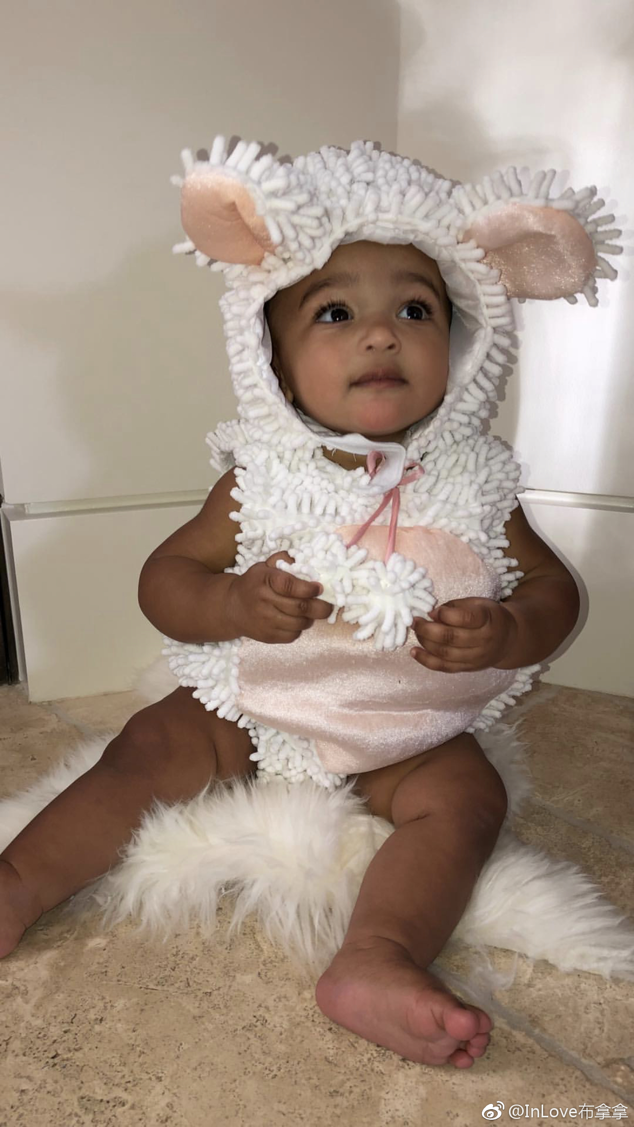 又到吸小芝芝的时间喽0606怎么会有这么阔爱的小娃娃啊对了