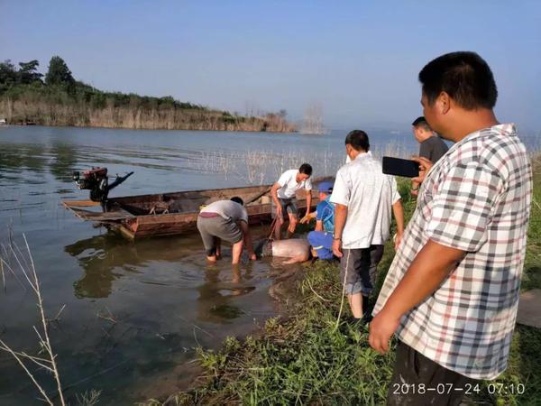 南阳男子酒后下水游泳溺亡 家人岸边痛哭