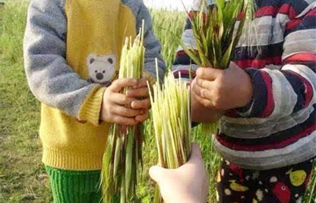 难得一见照片,吃过6种以上,你确实是老了!