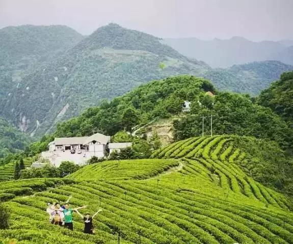 震后十年“瞰”青川,你真的好美好美!|青川县|青川|乐安寺乡_新浪新闻