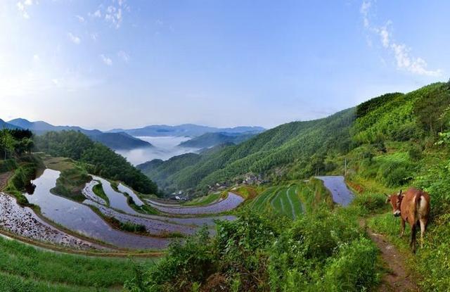 奉化，远山风吹过，那里秋意渐起……|奉化|大堰|壁画_新浪新闻
