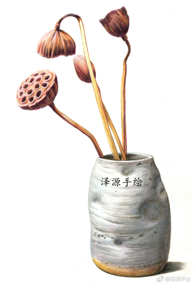 怡情小画干莲蓬与瓶投稿