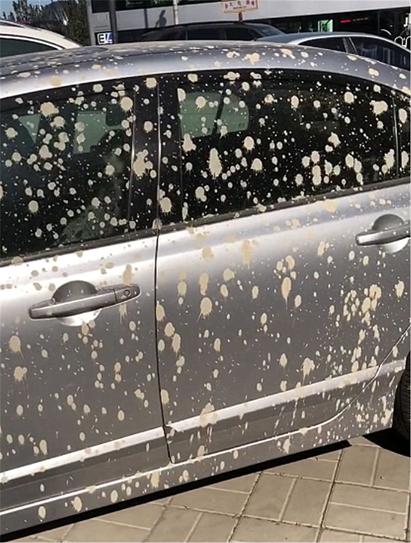 山东一辆25万雅阁乱停车,第二天车主取车时,车身满是泥点子!