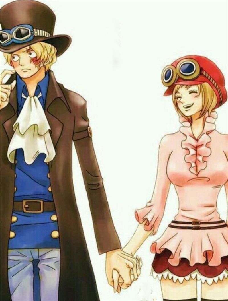 票选海贼王最有气质的五位美人明哥妈妈上榜萨博老婆第2