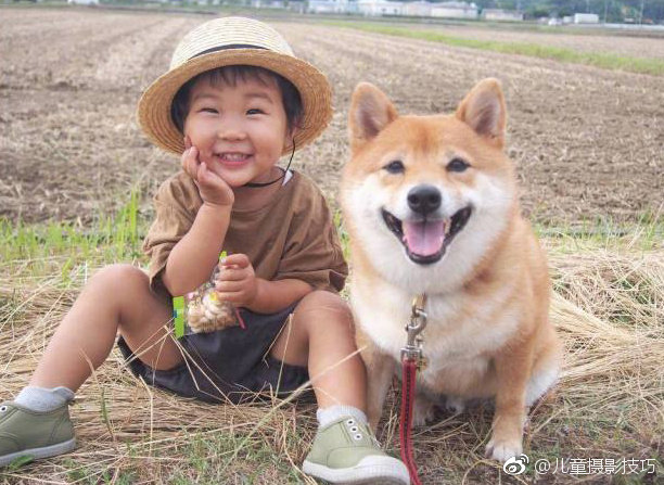 柴犬八朔从小主人出生起就陪伴在身边 两小只一起长大 玩耍 睡觉 柴犬八朔从小主人出生起就陪伴在身边 两小只一起长大 玩耍 睡觉